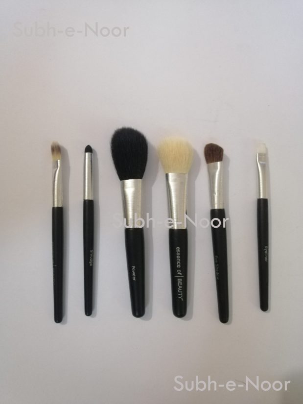 Beauty Essence Professional Brushes - Traveler Kit - Pack of 6